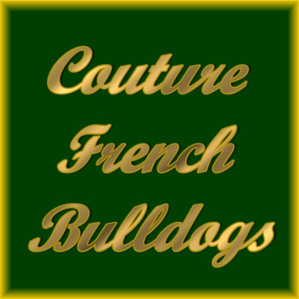 Kennel Logo